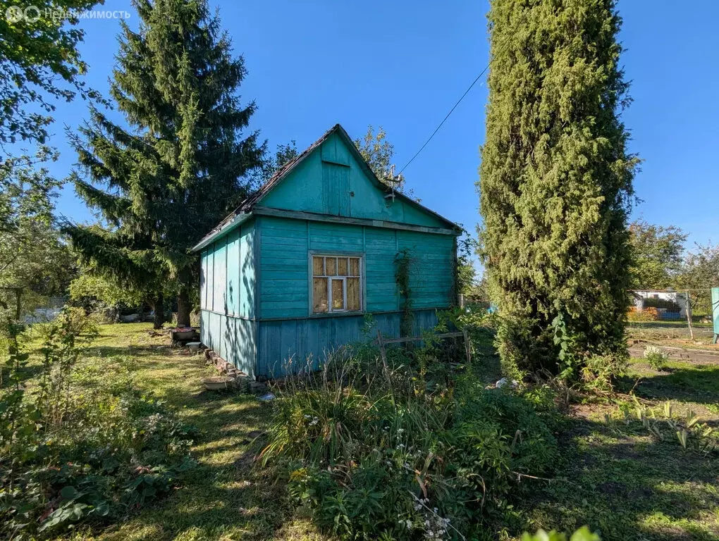 Дом в Орёл, СНТ Кораблики (20 м) - Фото 0