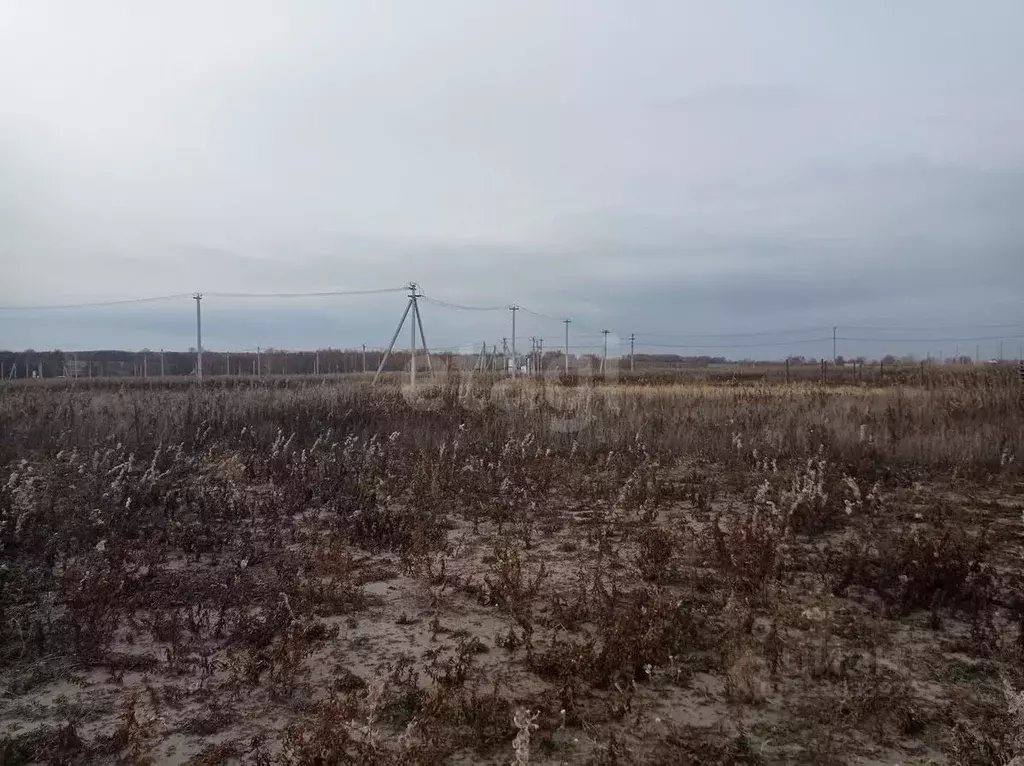 Участок в Тюменская область, Тюменский муниципальный округ, д. Большие ... - Фото 2