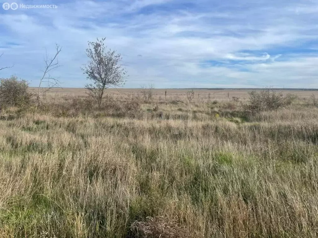 Участок в Новоотрадное, Подгорная улица (12 м) - Фото 1