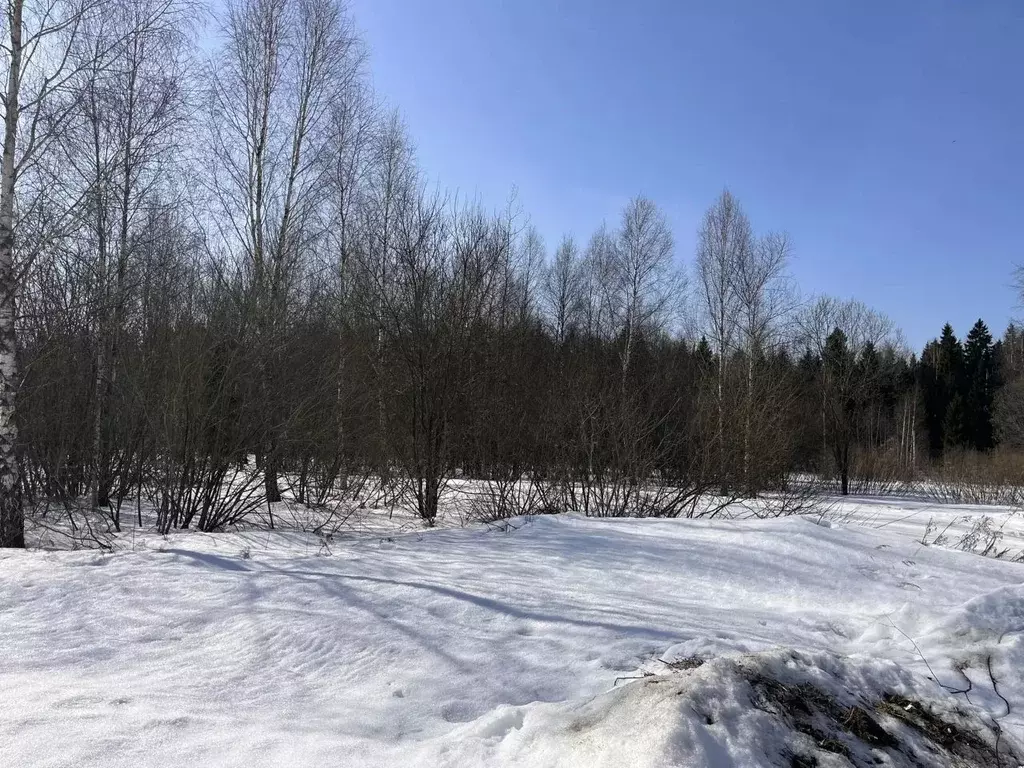 Участок в Москва Европейская долина-2 ДНП, пер. 3-й Двинский, 16 (9.11 ... - Фото 2