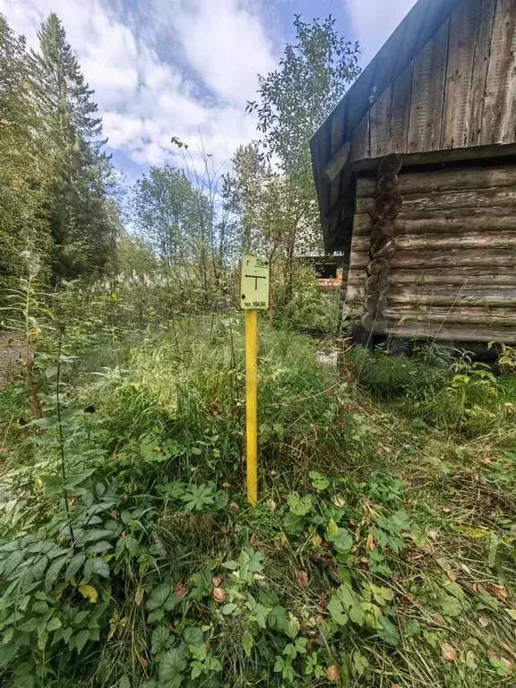 Участок 6 сот. (СНТ, ДНП) - Фото 0