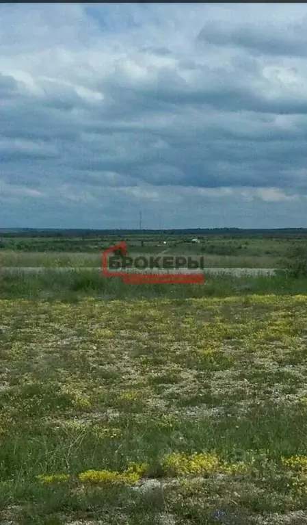 Участок в Крым, Бахчисарайский район, Каштановское с/пос, Крымские ... - Фото 1