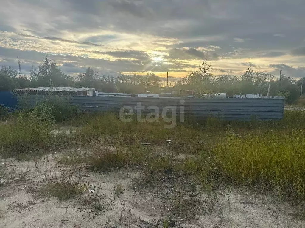 Участок в Ямало-Ненецкий АО, Ноябрьск П-12 мкр,  (10.5 сот.) - Фото 1