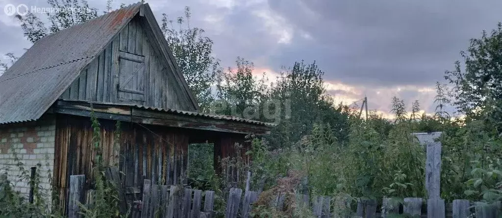 Участок в Челябинская область, село Аргаяш (4 м) - Фото 0