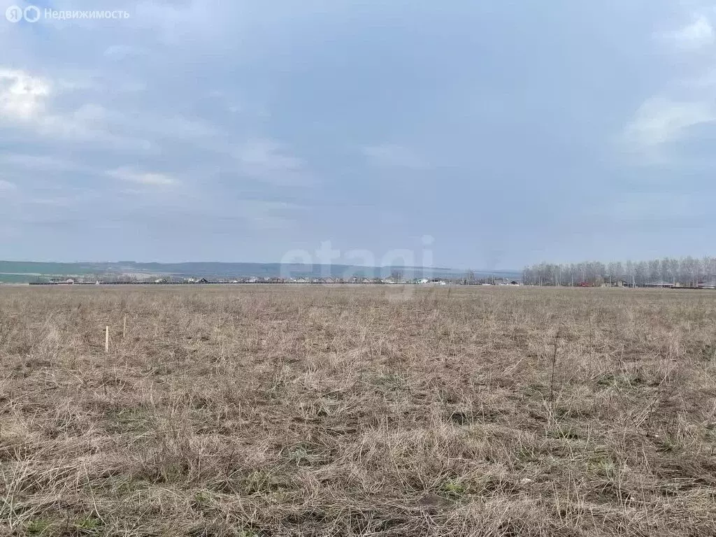 Участок в Лямбирский район, село Берсеневка (7 м) - Фото 0