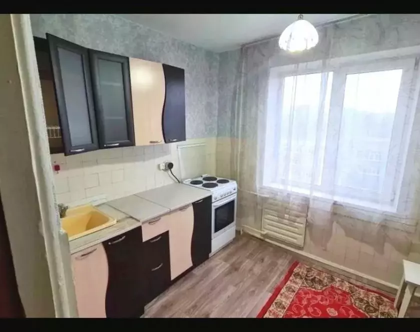 2-к кв. Алтайский край, Барнаул ул. Попова, 62 (49.0 м) - Фото 1