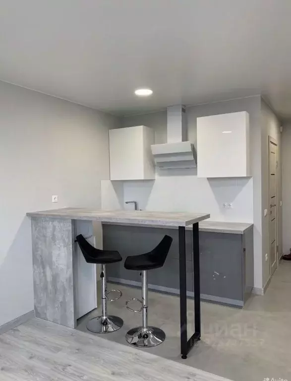 Студия Санкт-Петербург пос. Шушары, просп. Новгородский, 2к1 (28.0 м) - Фото 1