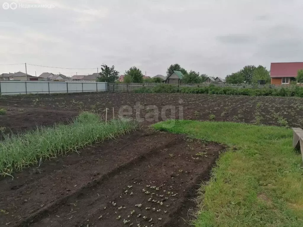 Участок в село Новый Краснояр, Кузьминская улица (9.3 м) - Фото 1