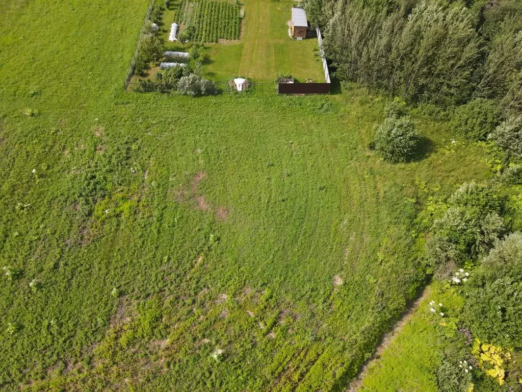 Участок в Московская область, Лотошино муниципальный округ, пос. ... - Фото 1