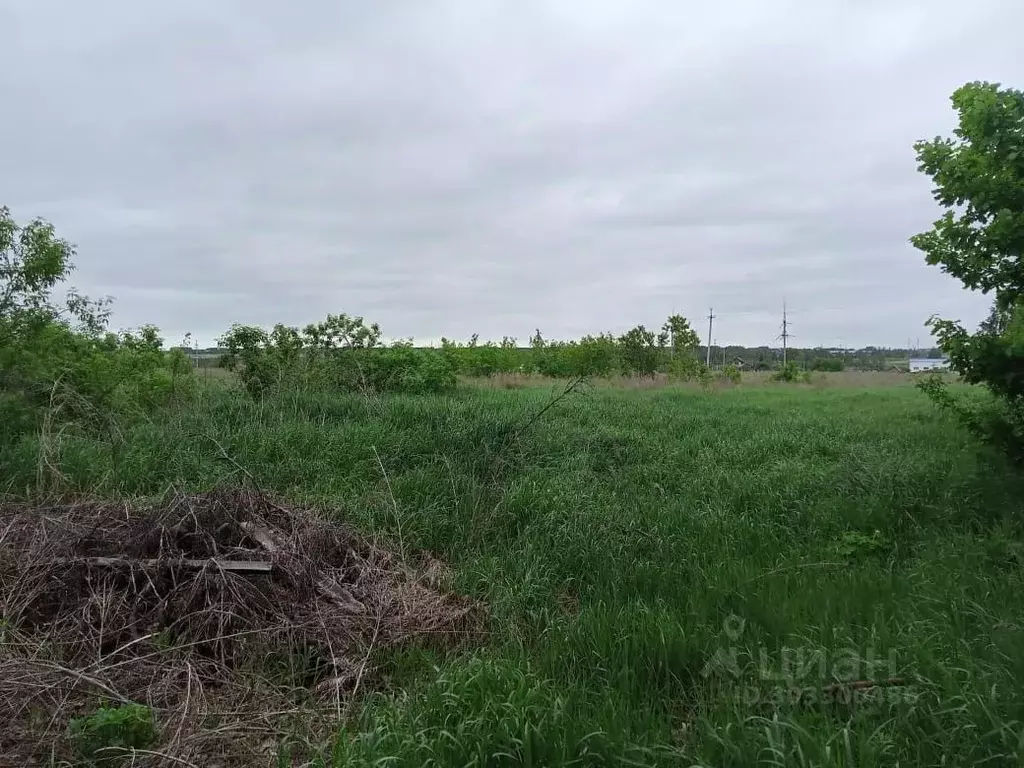Участок в Омская область, Кормиловский район, Юрьевское с/пос, д. ... - Фото 2