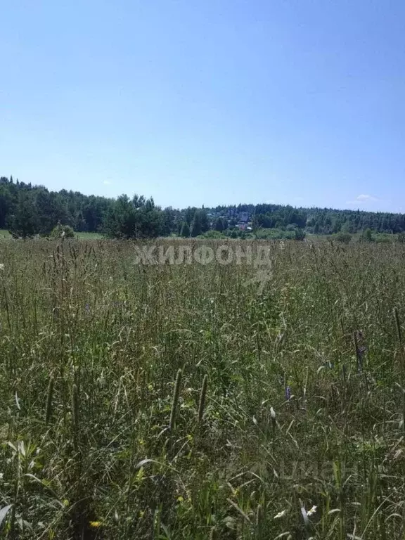 Участок в Кемеровская область, Новокузнецкий муниципальный округ, с. ... - Фото 1