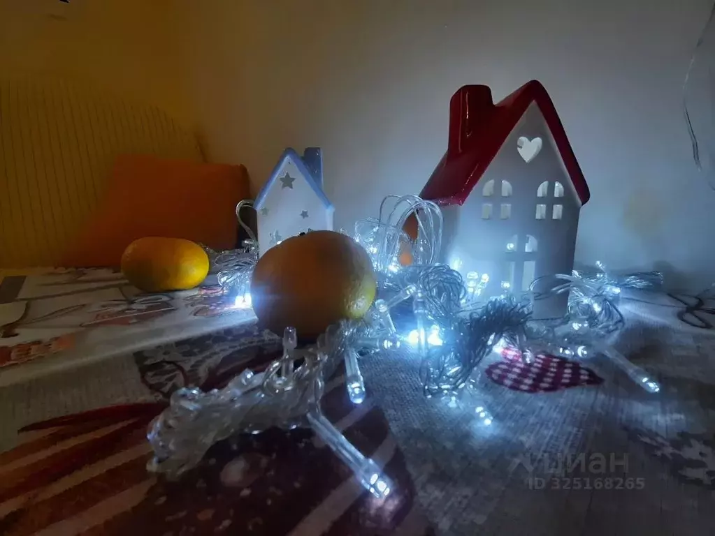 1-к кв. Самарская область, Жигулевск Пролетарская ул., 19 (21.0 м) - Фото 2