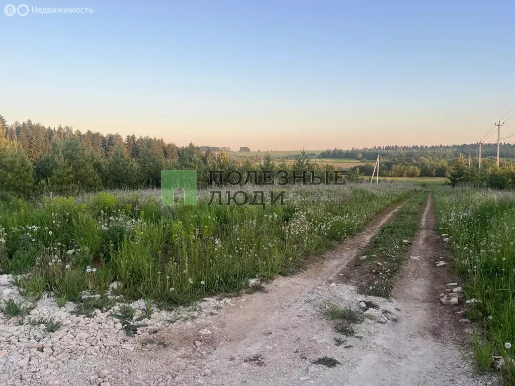 Участок в деревня Лудорвай, Берёзовый проезд, 2 (10.2699995 м) - Фото 1