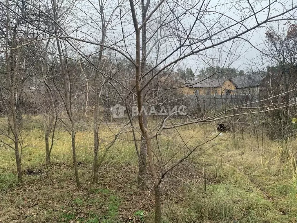 Дом в Воронежская область, Воронеж Шинник-1 СНТ, ул. 2-я, 81 (14 м) - Фото 2