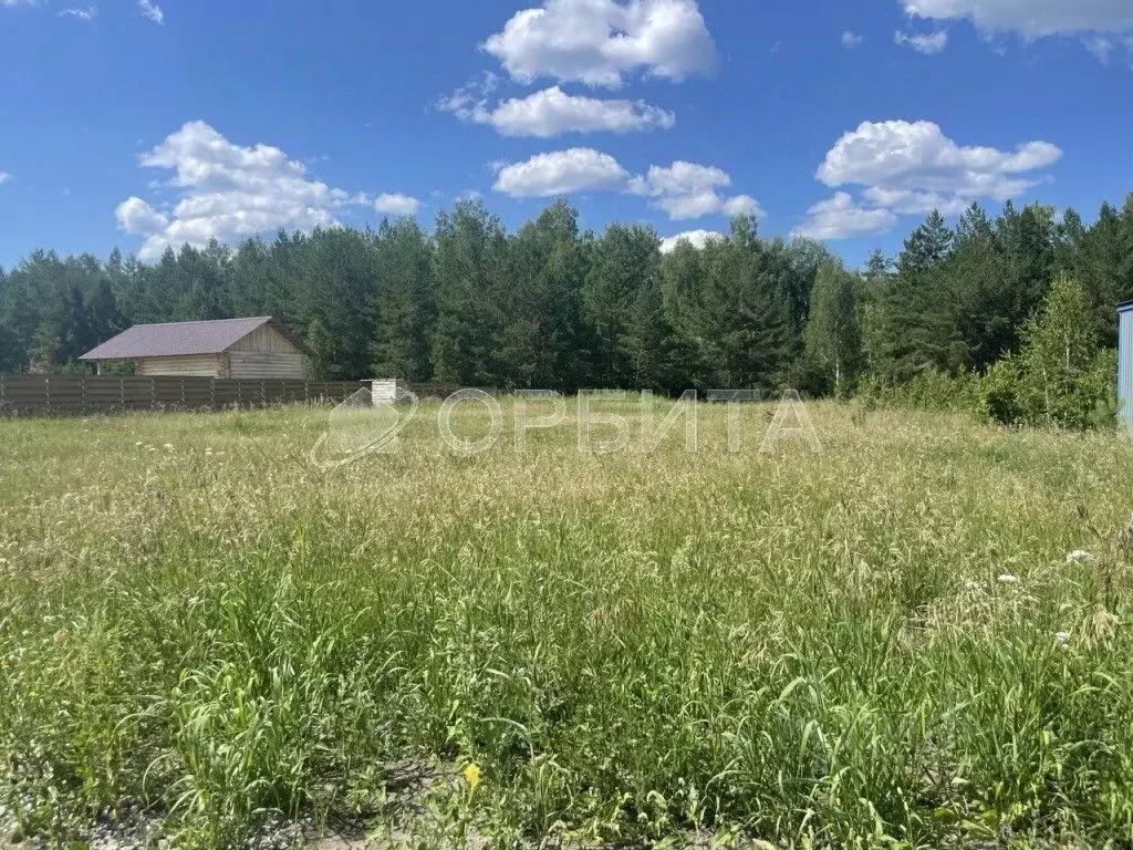 Участок в Тюменская область, Тюменский район, с. Кулига  (12.0 сот.) - Фото 1