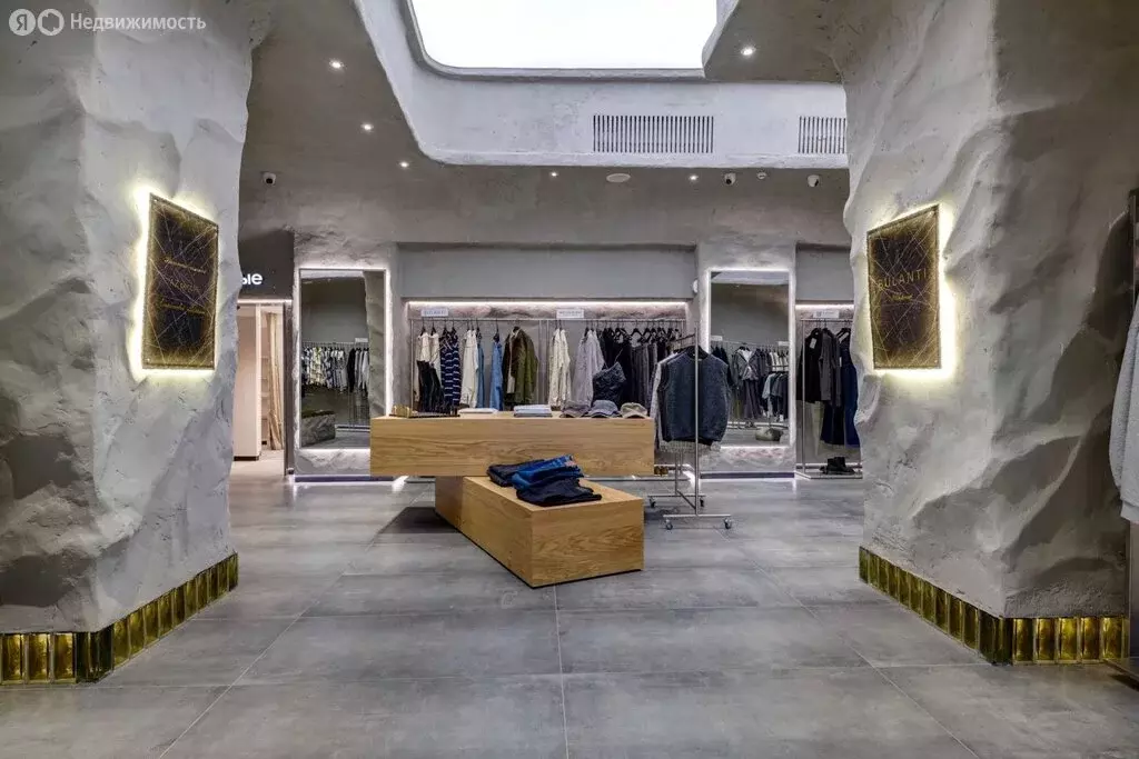 Помещение свободного назначения (223.5 м) - Фото 1