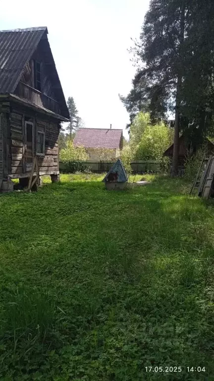 Участок в Ленинградская область, Гатчинский район, Вырица городской ... - Фото 0