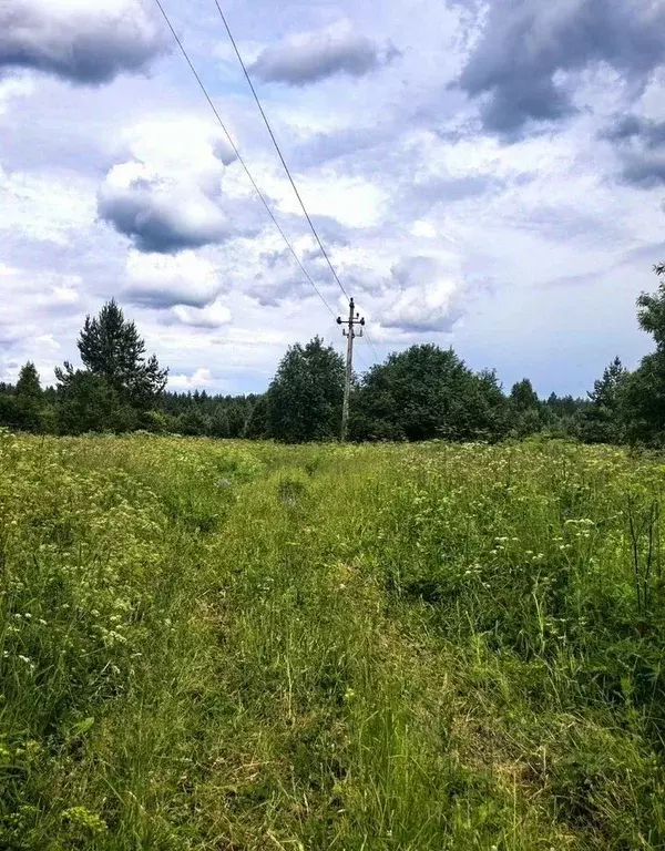 Участок в Вологодская область, Кадуйский муниципальный округ, д. ... - Фото 1
