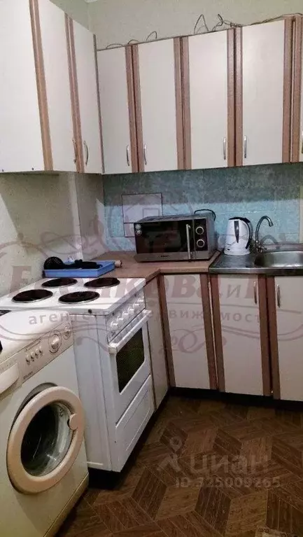 2-к кв. Курганская область, Курган ул. Коли Мяготина, 44 (23.0 м) - Фото 1