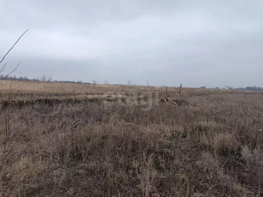 Участок в Курская область, Курский район, Клюквинский сельсовет, с. ... - Фото 1