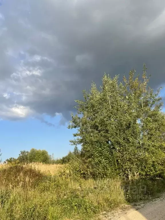 Участок в Московская область, Истра муниципальный округ, д. Чесноково ... - Фото 2