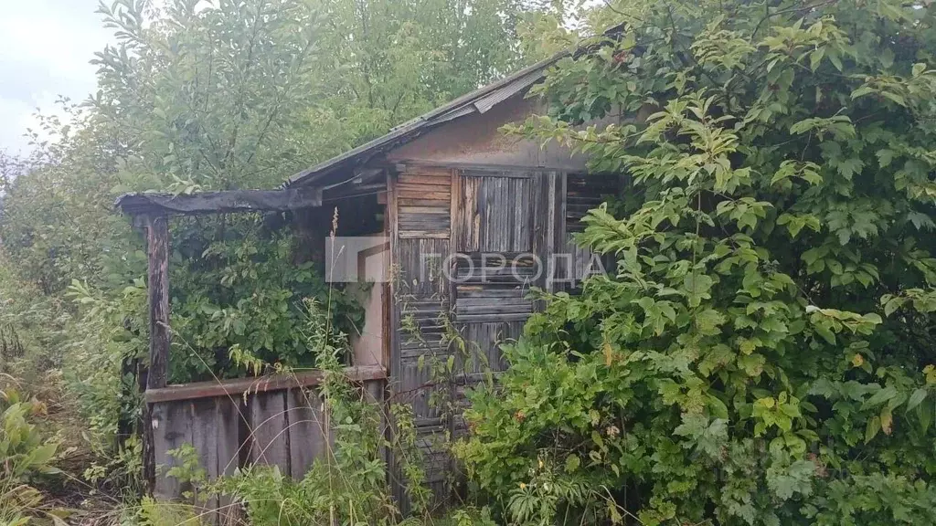 Участок в Новосибирская область, Тогучинский район, Ветеран СНТ 338 ... - Фото 0