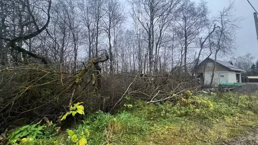 Участок в Московская область, Истра ул. Ленина, Река Истра (12.0 сот.) - Фото 1