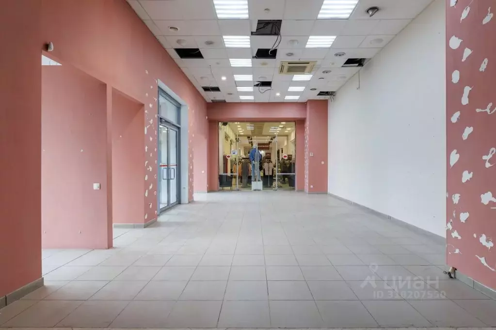 Торговая площадь в Санкт-Петербург Ленинский просп., 124 (265 м) - Фото 1