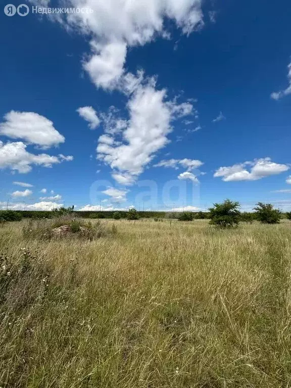 Участок в Черногорск, улица Надежды (8.37 м) - Фото 1