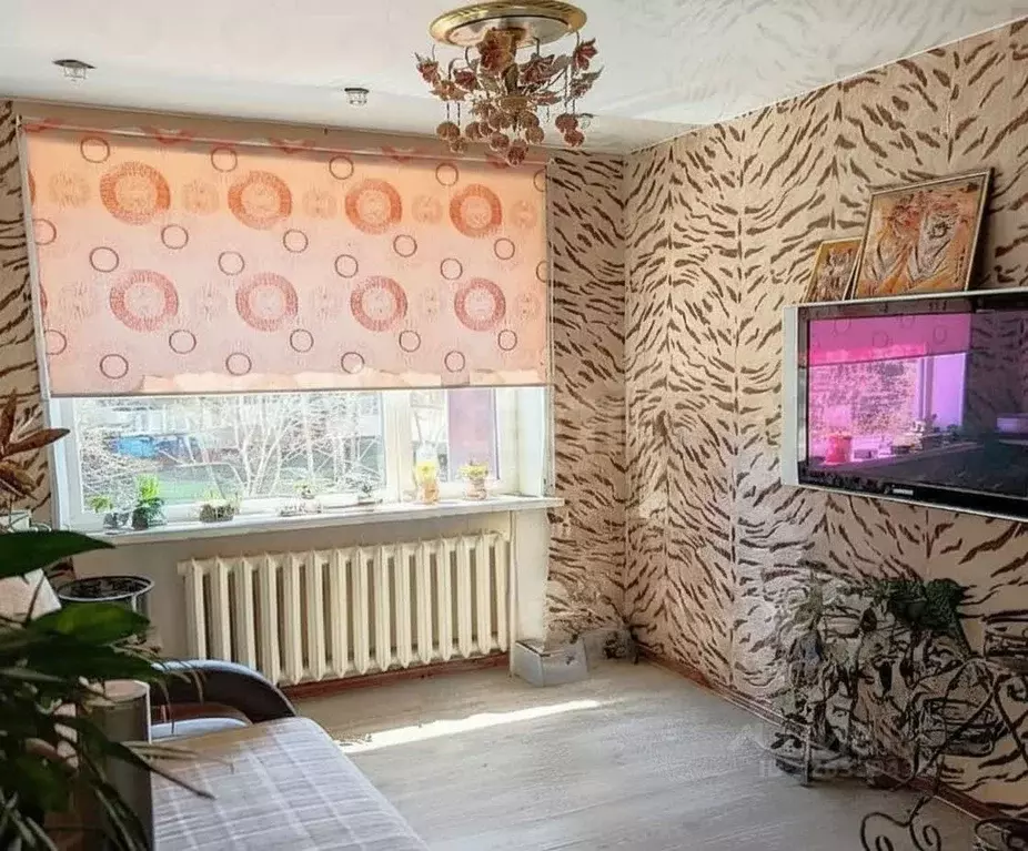 3-к кв. Камчатский край, Петропавловск-Камчатский ул. Академика ... - Фото 2