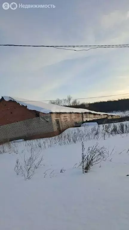 Участок в Гафурийский район, Бельский сельсовет, деревня Кутлугуза (56 ... - Фото 2