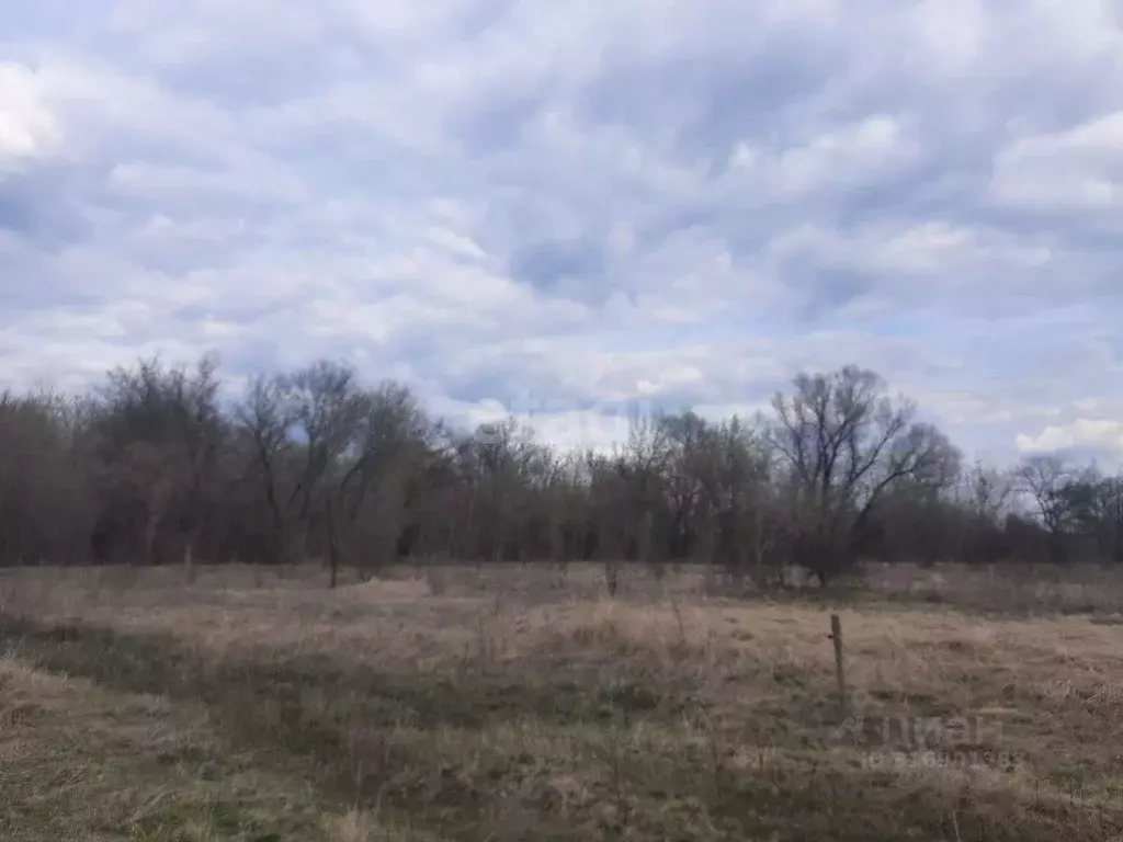 Участок в Белгородская область, Валуйский муниципальный округ, с. ... - Фото 0