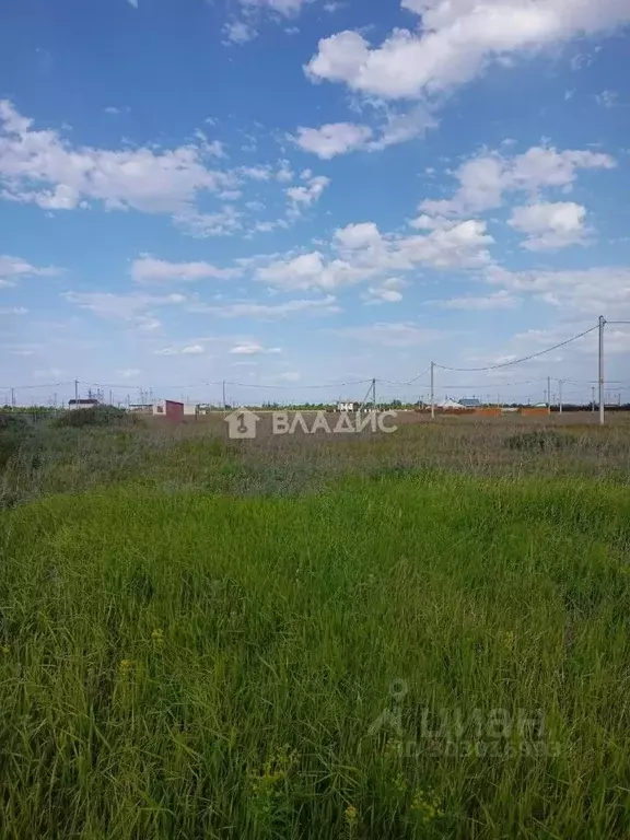 Участок в Саратовская область, Балаковский район, с. Натальино ул. ... - Фото 0