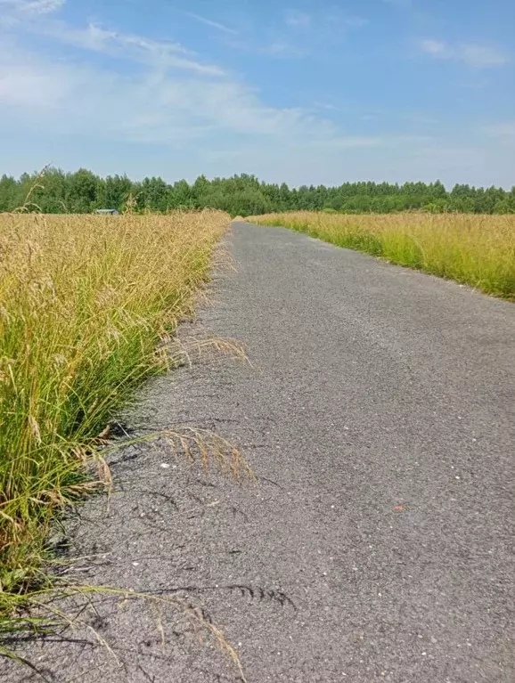 Участок в Владимирская область, Судогда ул. Ошмарина (12.0 сот.) - Фото 1