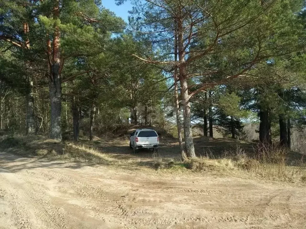 Участок в Ленинградская область, Выборгский район, Полянское с/пос, ... - Фото 1