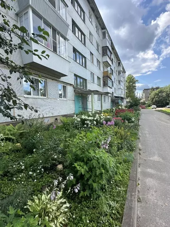 1-к кв. Тверская область, Ржев ул. Косарова, 49 (29.2 м) - Фото 0