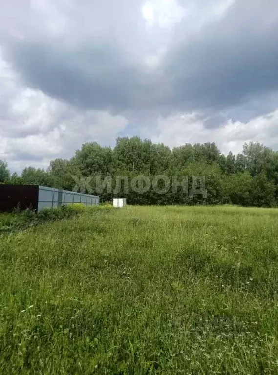 Участок в Новосибирская область, Мошковский район, с. Новомошковское ... - Фото 1