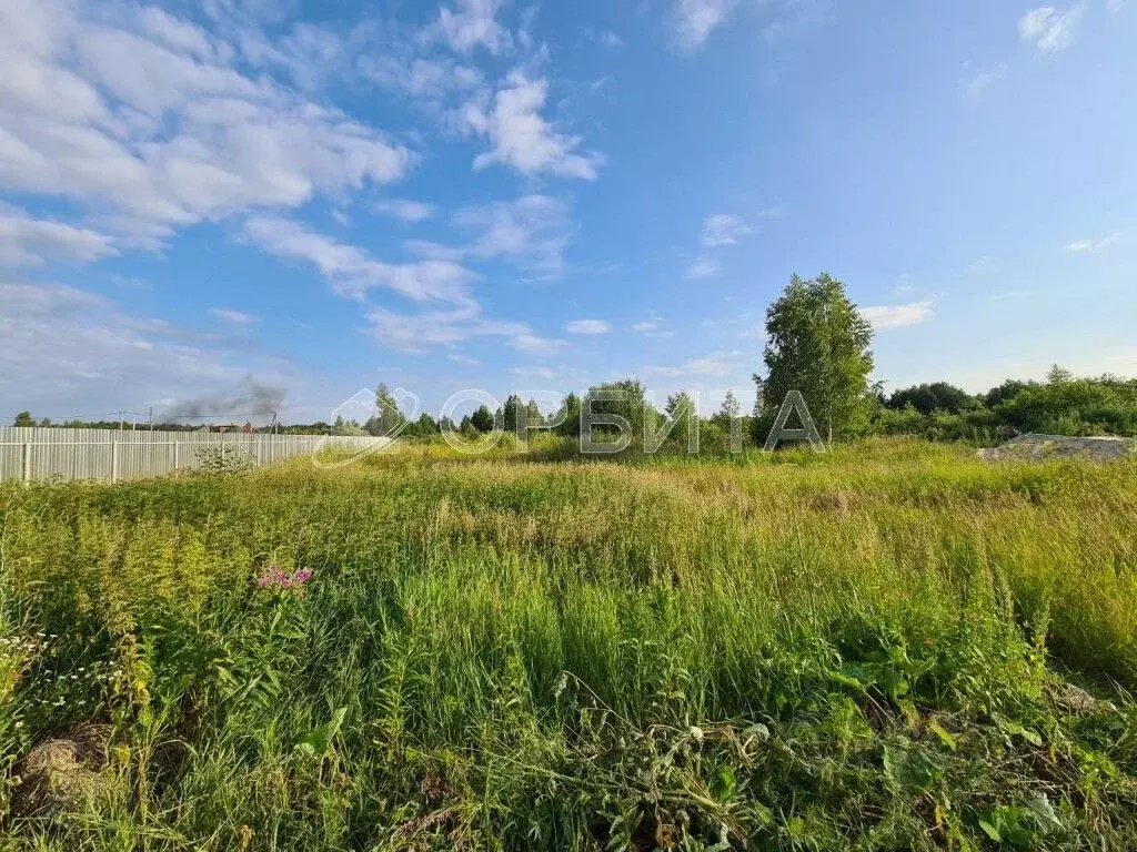 Участок в Тюменская область, Нижнетавдинский муниципальный округ, с. ... - Фото 1