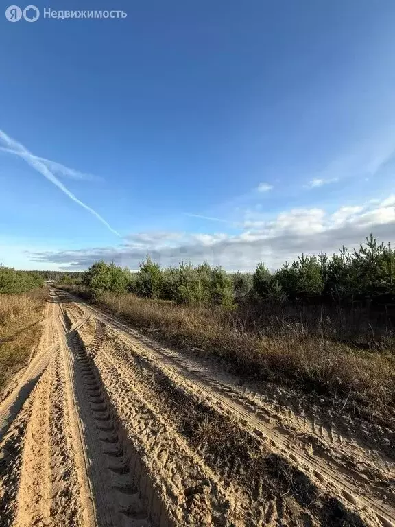 Участок в муниципальное образование Новосельское, деревня Черноситово ... - Фото 1