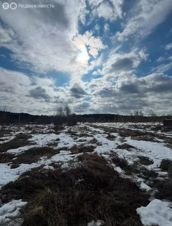 Участок в Сергиево-Посадский городской округ, деревня Федорцово (6 м) - Фото 0