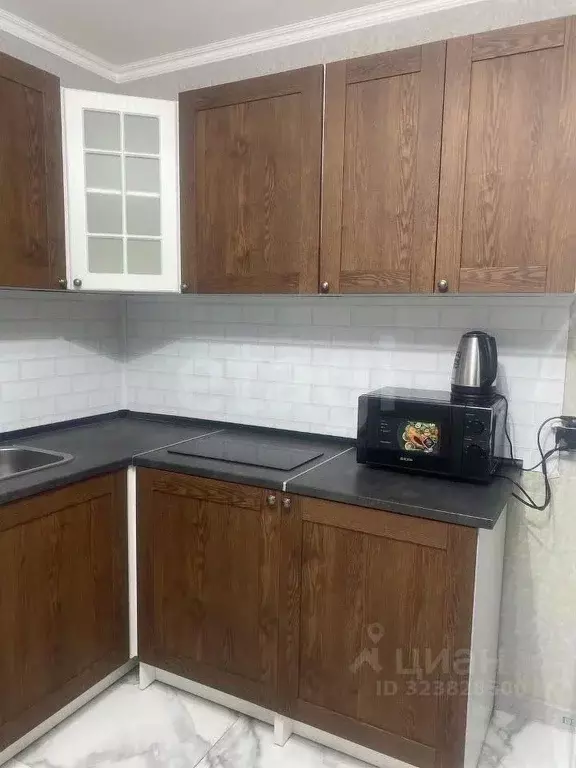 1-к кв. Новосибирская область, Новосибирск ул. Станиславского, 16/1 ... - Фото 2