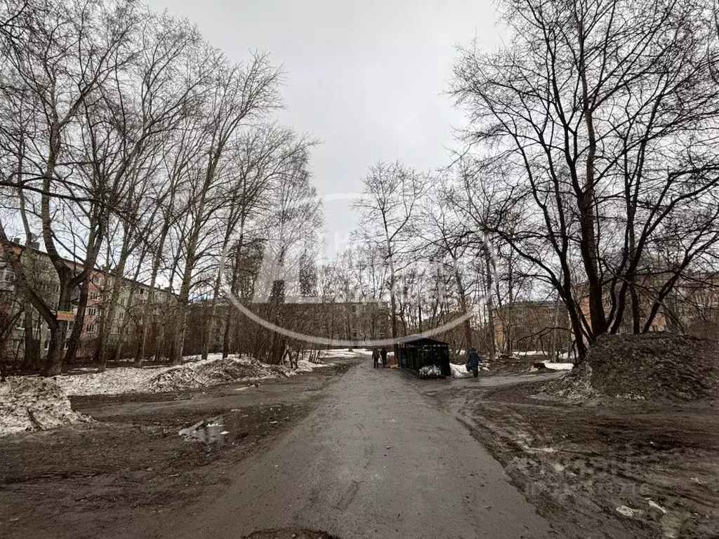 Участок в Пермский край, Березники ул. Ломоносова, 137 (38.73 сот.) - Фото 0