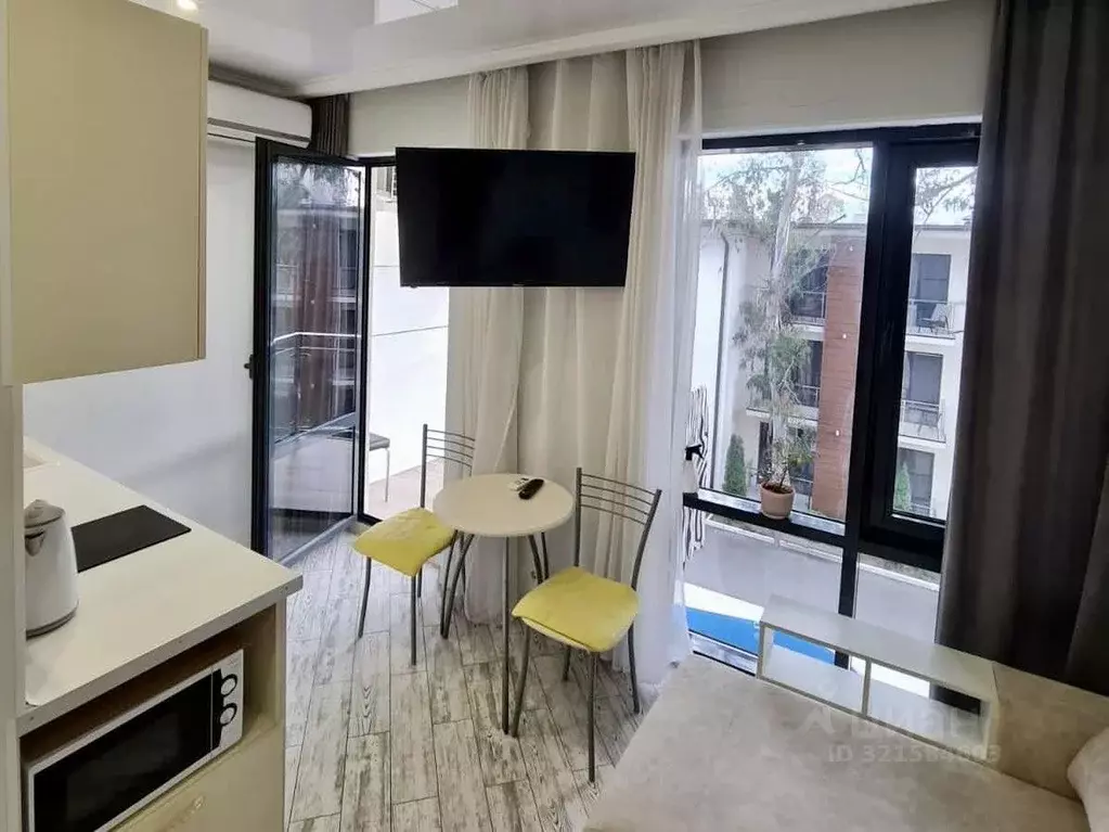 2-к кв. Краснодарский край, Сочи ул. Ленина, 219А/1 (30.0 м) - Фото 1