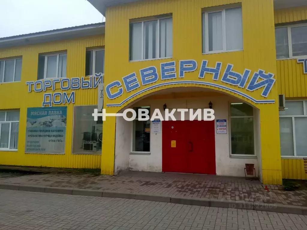 Помещение свободного назначения в Вологодская область, Шексна рп, ... - Фото 0