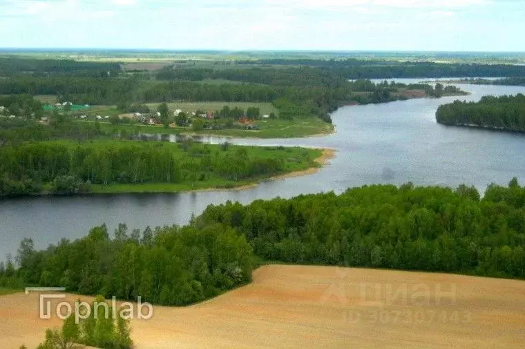 Участок в Тверская область, Зубцовский муниципальный округ, д. ... - Фото 1