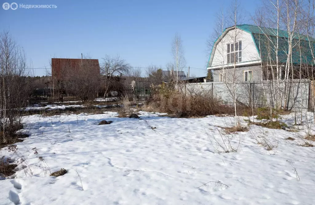 Участок в Курганская область, Кетовский муниципальный округ, СНТ ... - Фото 1