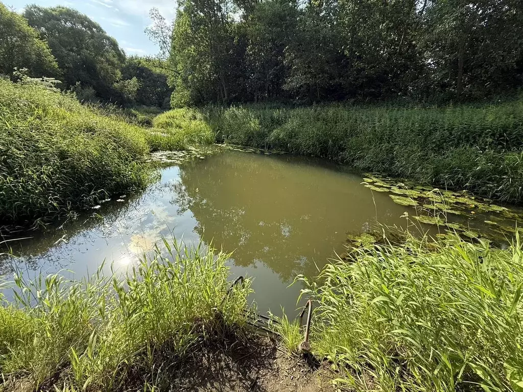 Дом в Московская область, Можайский муниципальный округ, д. Жизлово 31 ... - Фото 2