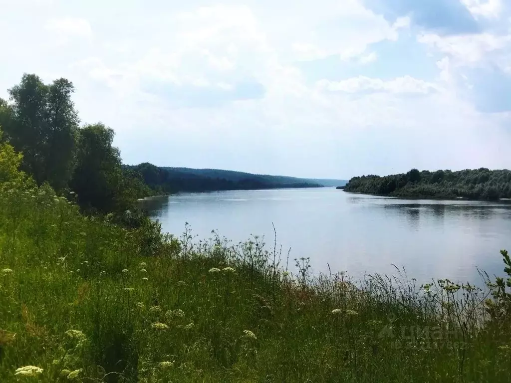 Участок в Тульская область, Ясногорский район, Иваньковское с/пос, ... - Фото 1