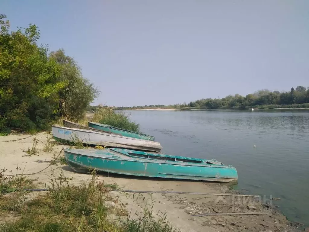 Участок в Ростовская область, Октябрьский район, Калинин хут.  (20.0 ... - Фото 1