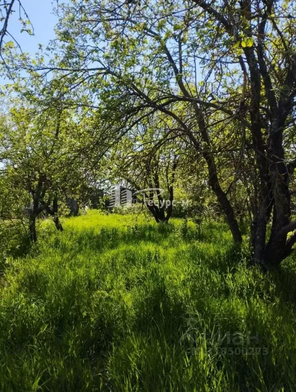 Дом в Нижегородская область, Выкса городской округ, Шиморское рп ул. ... - Фото 1